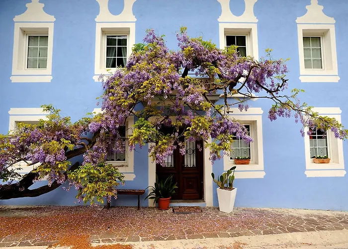 The Blue House
