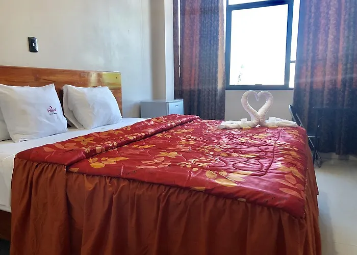 Hotel Selva Dorada