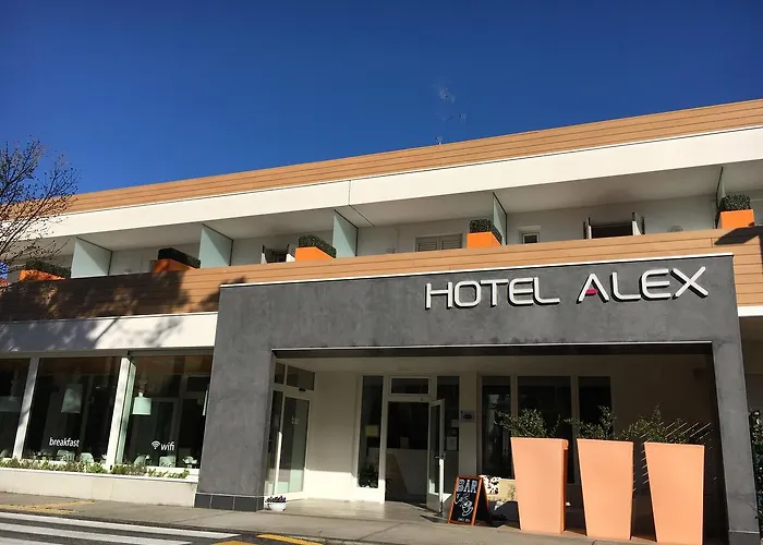 Hotel Alex