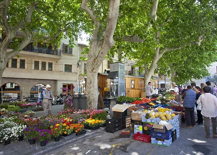 Can Moragues De Soller