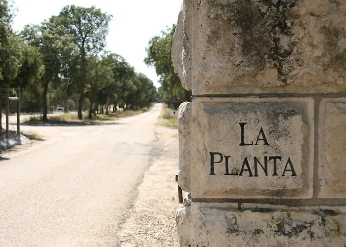 La Casita de la Planta