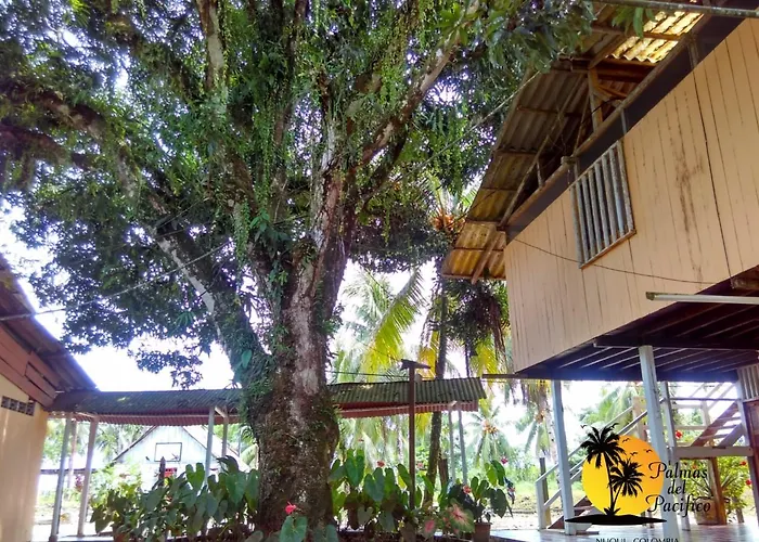 Hotel Palmas del Pacifico