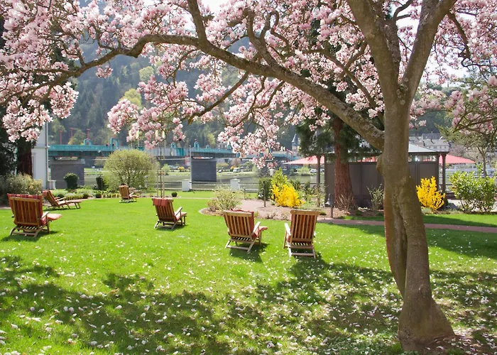 Moselschloesschen Spa & Resort