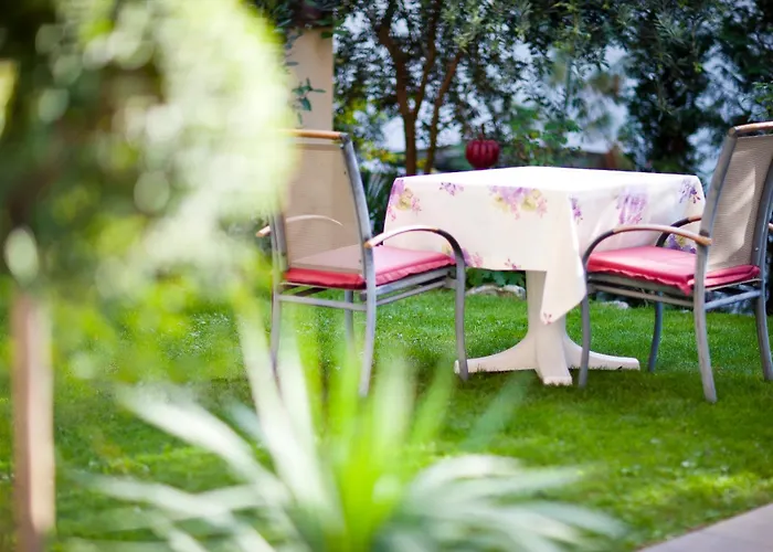 Hotel Aster