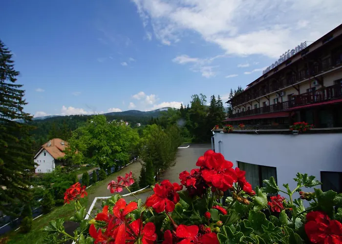 Hotel Rozmarin