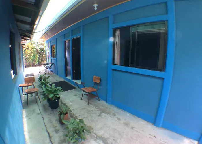 Green Macaw Hostel