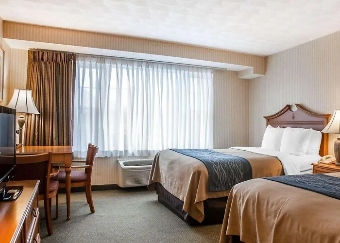 Comfort Inn At Newport Beach