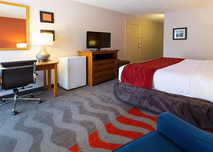 Comfort Inn & Suites Airport