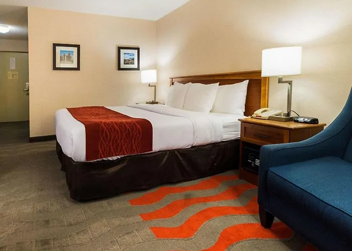 Comfort Inn & Suites Airport