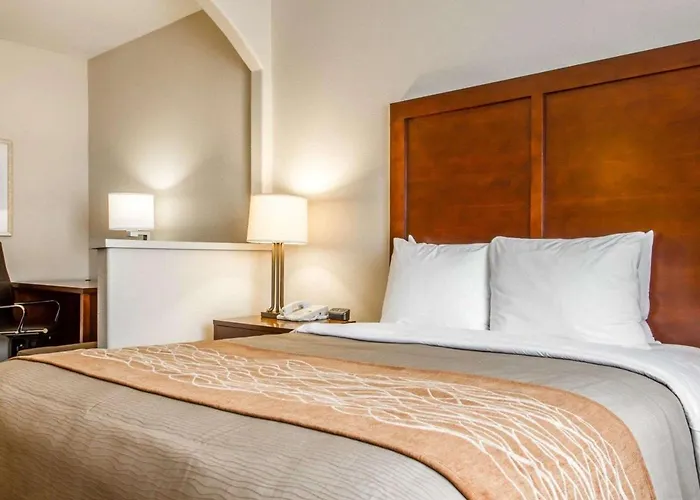 Comfort Inn & Suites Oakland Airport