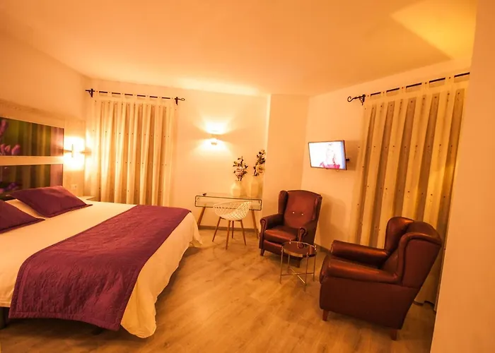 Hotel Hc Zoom