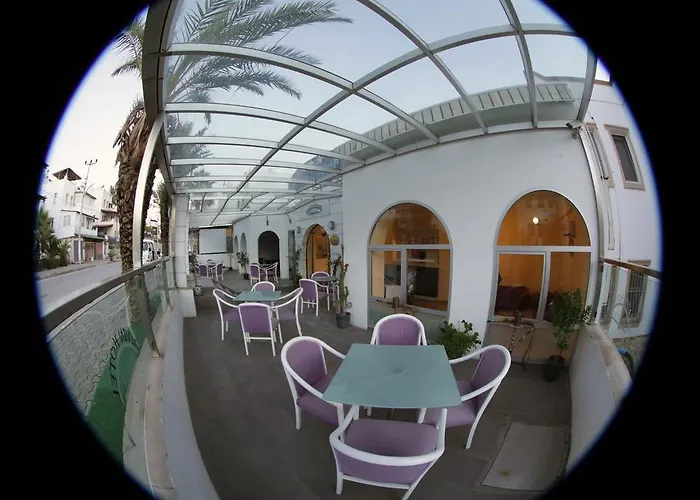 Alvin Hotel