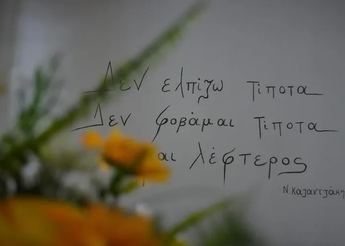 Hotel Theopisti