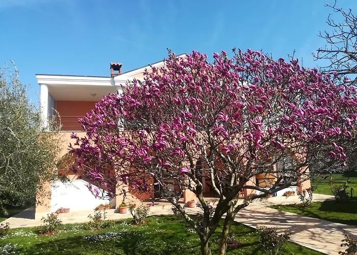 B&B Carmela Umag
