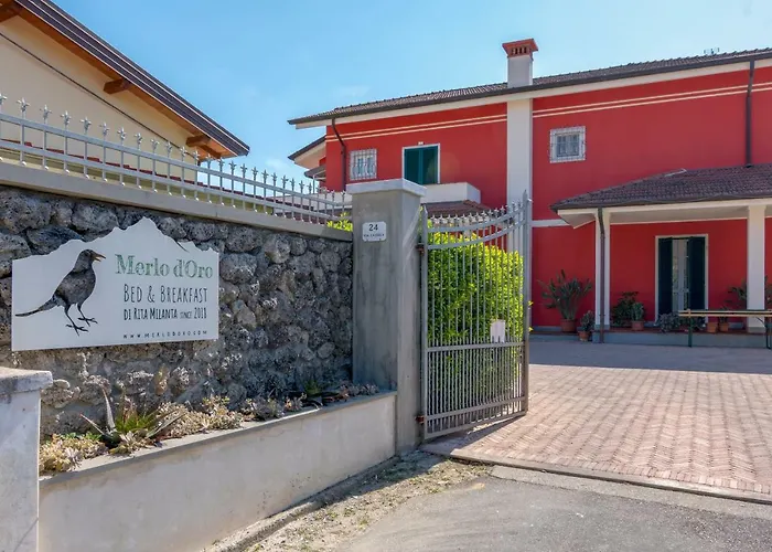 Merlo d'Oro