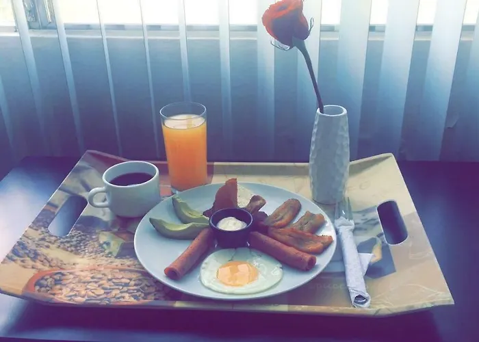 G y V Hotels