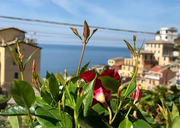 Cinque Terre Coast To Coast