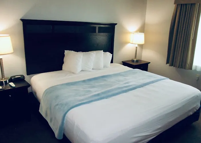 The Avenue Hotel