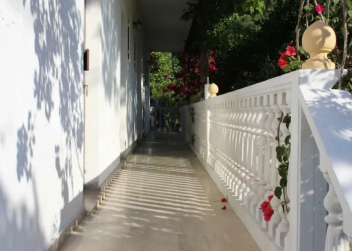Pavlos studios