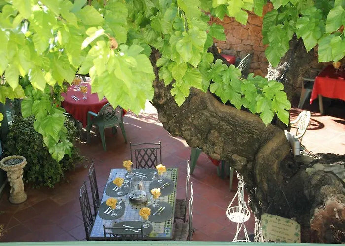 Le Provençal