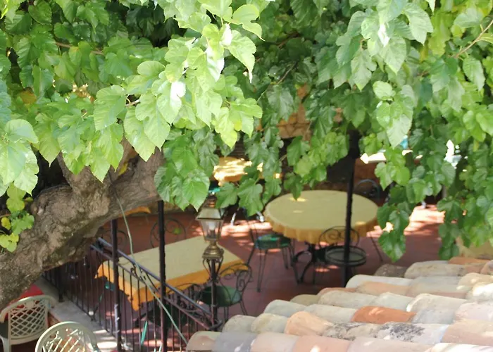 Le Provençal
