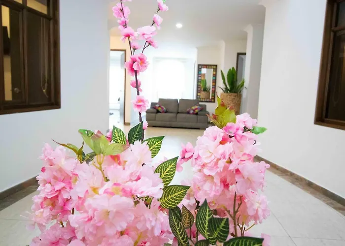 Hotel Madrid Plaza Colombia