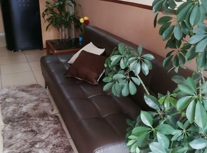 The Travel House