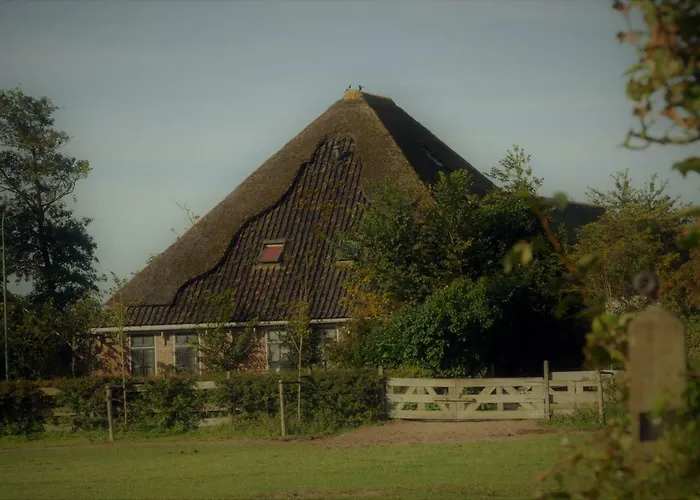 Sterrenhoeve