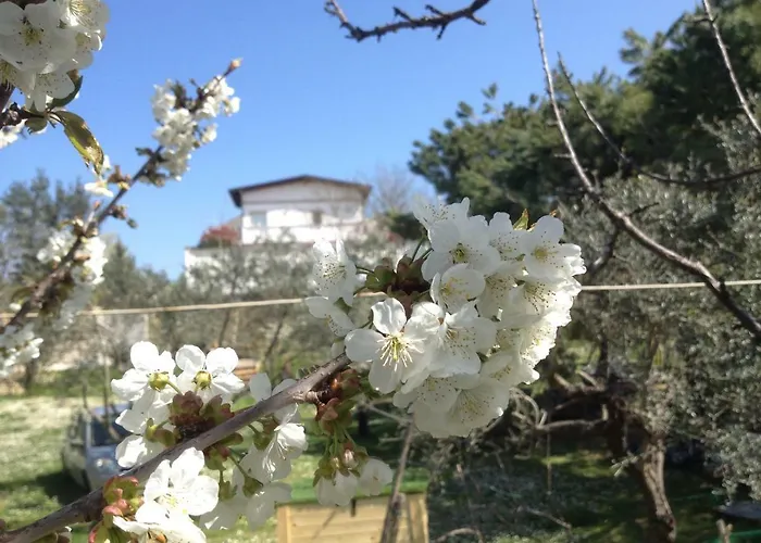 Bed and Breakfast Via col Vento Chieti