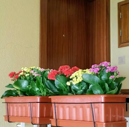 D.Ana Guesthouse Lagos