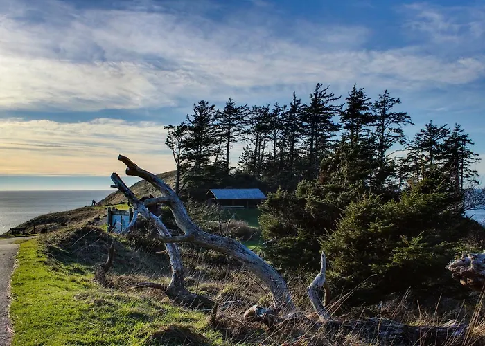 Beaches Inn | Puffins Place Cabana