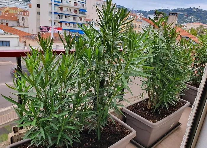 Hôtel Brimer Cannes