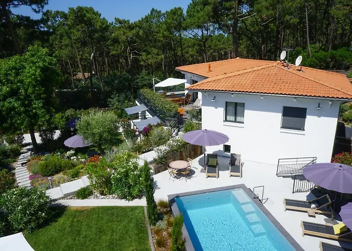 Ferret Vigne - Villa Chambres d'Hôtes Lège-Cap-Ferret