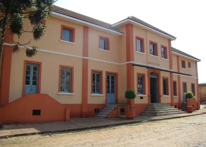 Ibis Montenegro