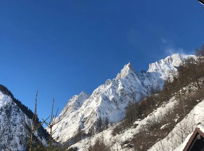 Hotel Chalet Joli