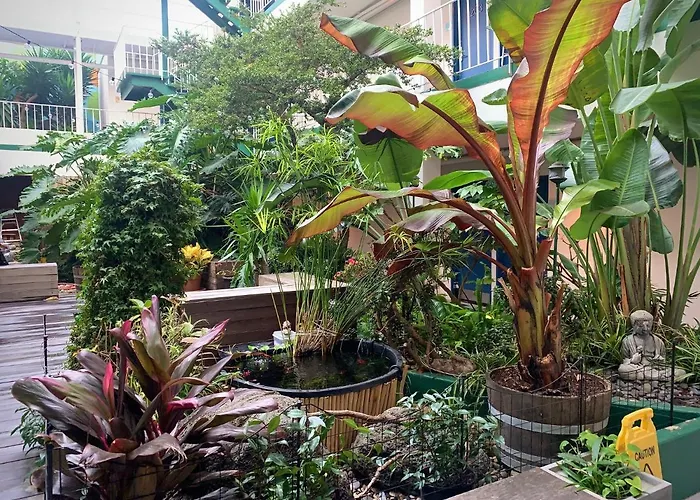 Oasis Inn São Francisco