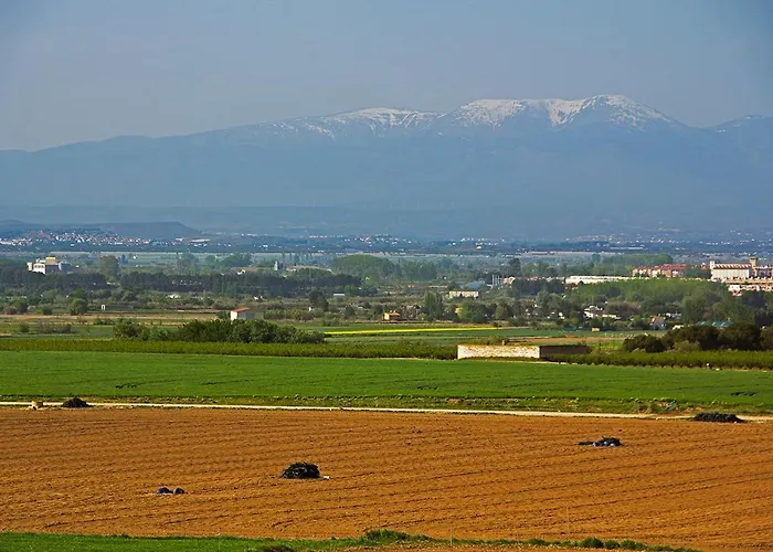 Hostal la Parrilla Tudela