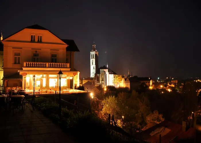 Vila U Varhanare