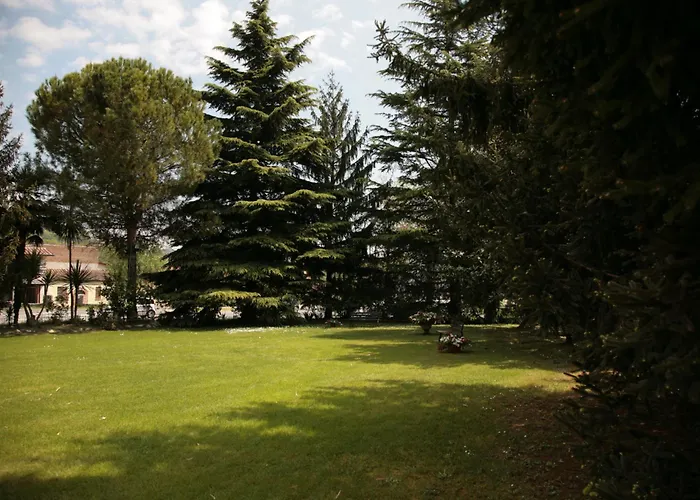 Hotel Bassetto