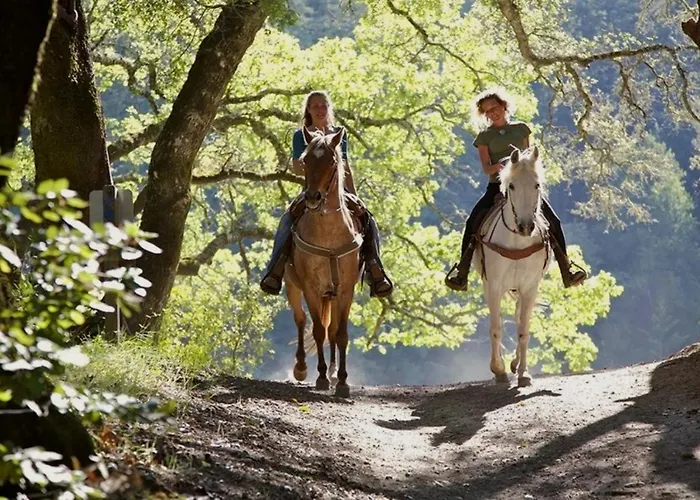 HOTEL HOLIDAYS a Barrea - Natura, Relax e Benessere nel Parco d'Abruzzo