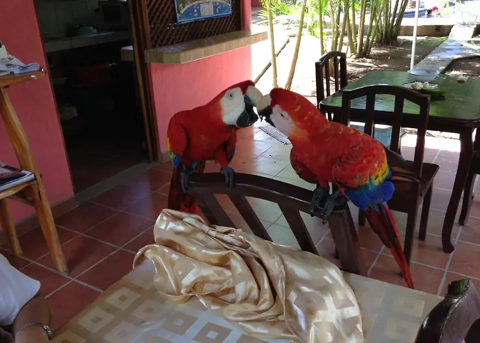Hotel El Paraiso Escondido - Costa Rica