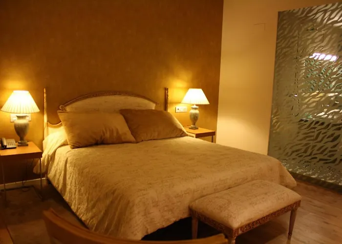 Hotel Palau Dels Osset